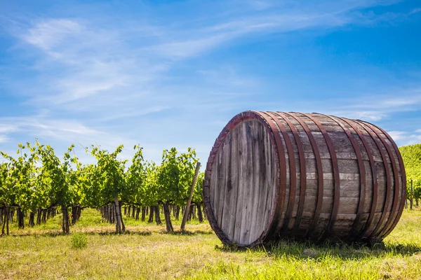 Vinho da Toscana — Fotografia de Stock