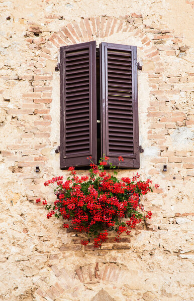Tuscan windows with red flowers. Old wall in background.