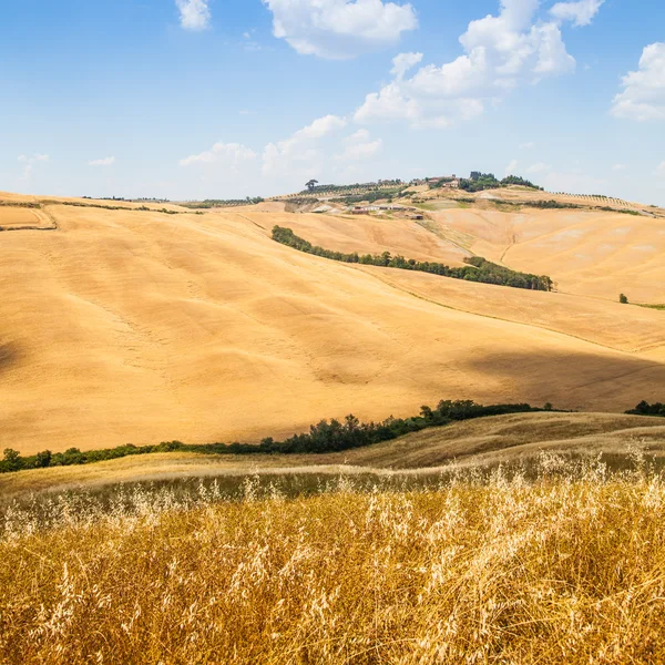 Land i Toscana Stockbild