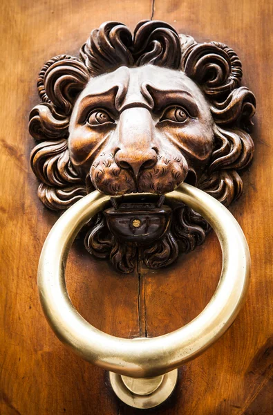 Aslan başlı kapı tokmağı. — Stok fotoğraf