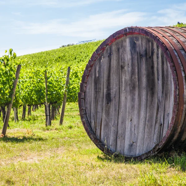 Tuscany-szőlőhegy — Stock Fotó