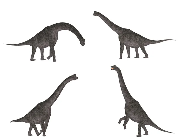 Brachiosaurus-Rudel — Stockfoto