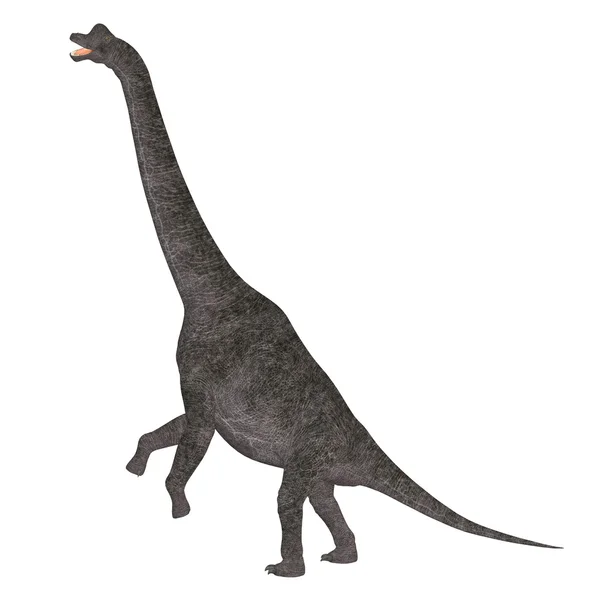 ブラキオサウルス — ストック写真