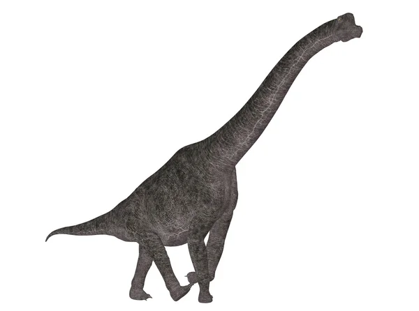 ブラキオサウルス — ストック写真