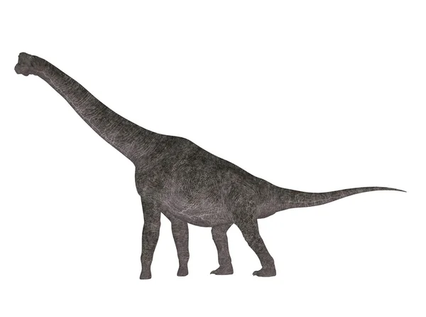 Brachiosaurus — kuvapankkivalokuva