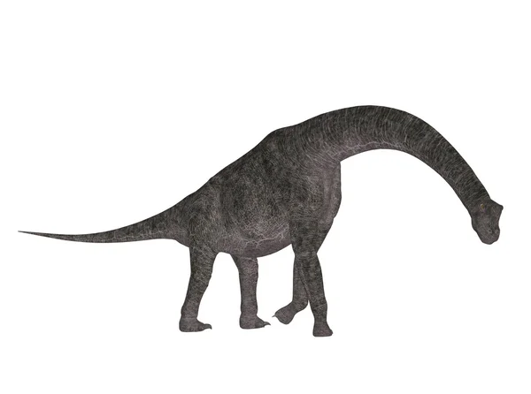 Brachiosaurus — Stock fotografie