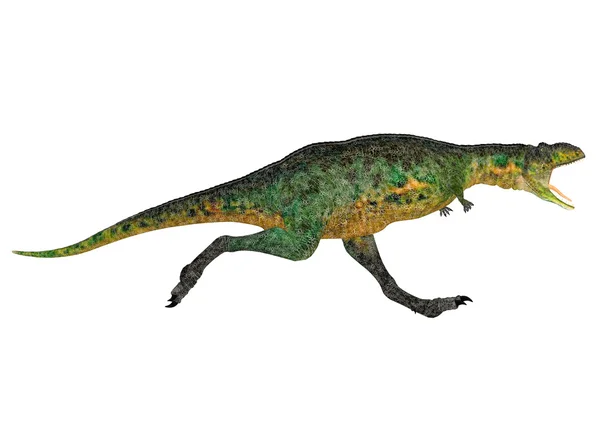 Ауказавр — стоковое фото