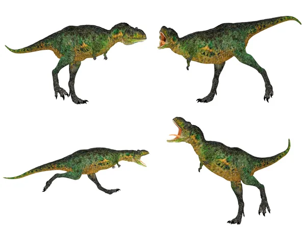 アウカサウルス パック — ストック写真