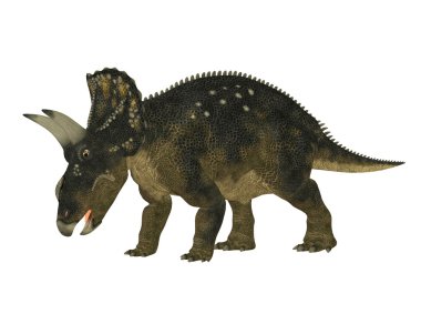 Nedoceratops