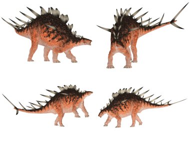 Kentrosaurus Pack clipart