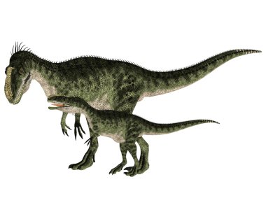 Yetişkin ve genç monolophosaurus