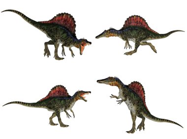 Spinosaurus Pack clipart