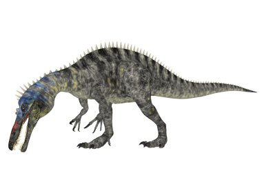 Suchomimus