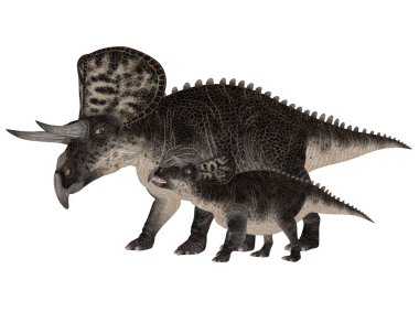 Adult and Young Zuniceratops clipart