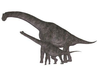 Yetişkin ve genç brachiosaurus