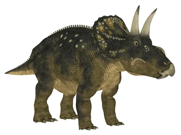 Nedoceratops — Stok fotoğraf