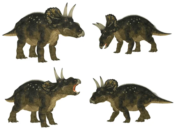 Nedoceratops Pack — Stockfoto