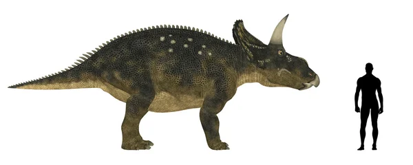 Nedoceratops 大小比较 — 图库照片