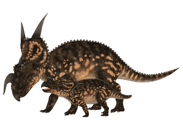Vuxna och unga einiosaurus — Stockfoto