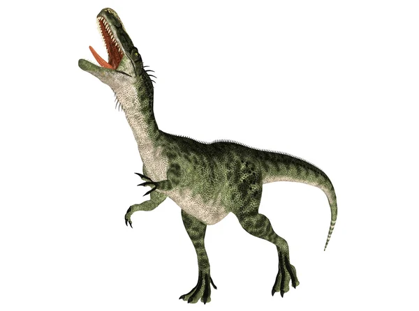 Monolophosaurus — Stok fotoğraf