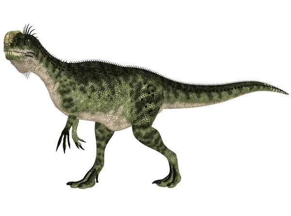 Monolofosaurio — Foto de Stock
