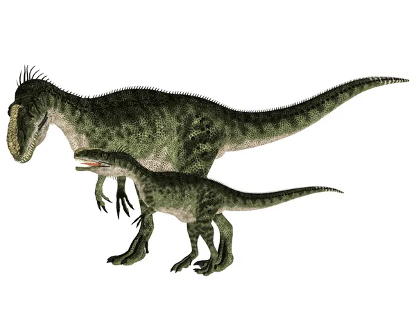Дорослий і молодий Monolophosaurus — стокове фото