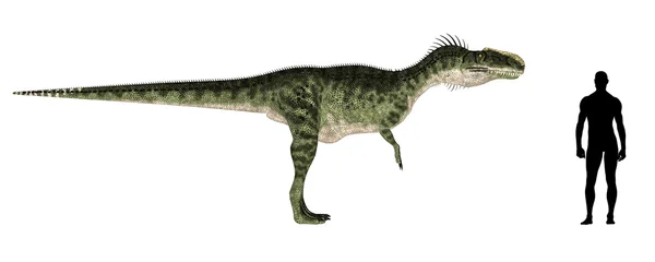 モノロフォサウルスの大きさの比較 — ストック写真