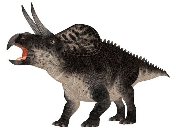 Zuniceratops — Stok fotoğraf