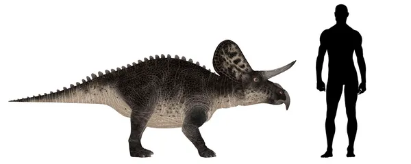 Zuniceratops grootte vergelijking — Stockfoto