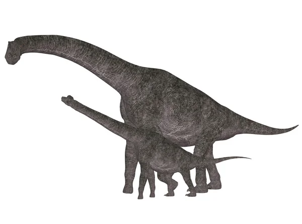 Adulto e Jovem Brachiosaurus — Fotografia de Stock
