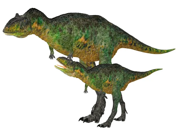 Yetişkin ve genç aucasaurus — Stok fotoğraf