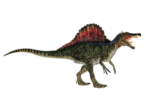 スピノサウルス ロイヤリティフリーのストック画像