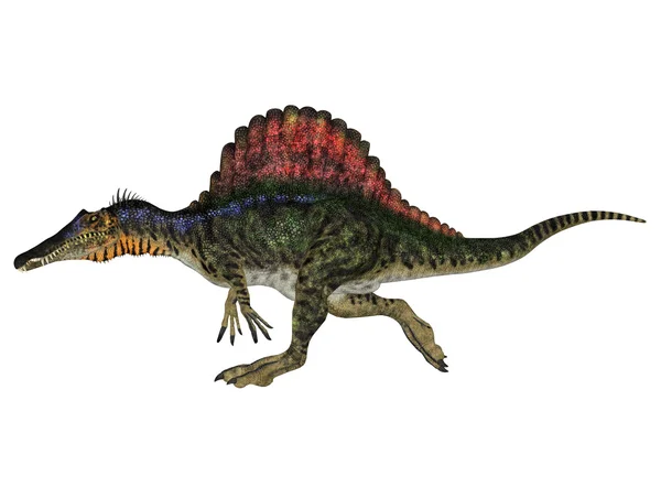 Спинозавр Стокове Зображення