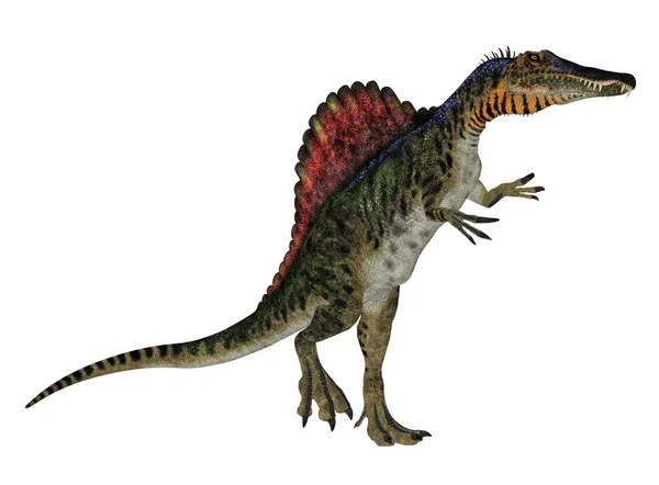Спинозавр Ліцензійні Стокові Зображення