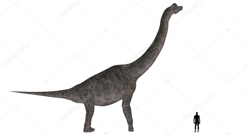 Brachiosaurus Size Comparison