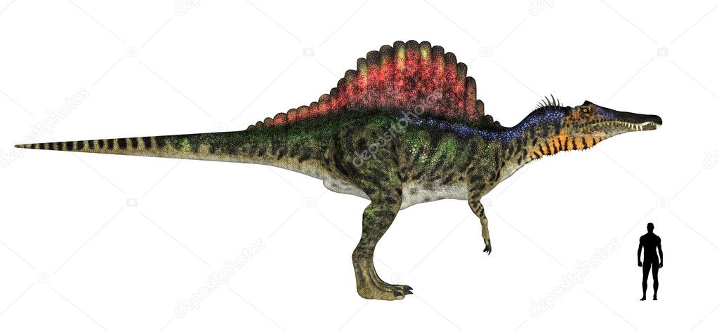 Spinosaurus Size Comparison
