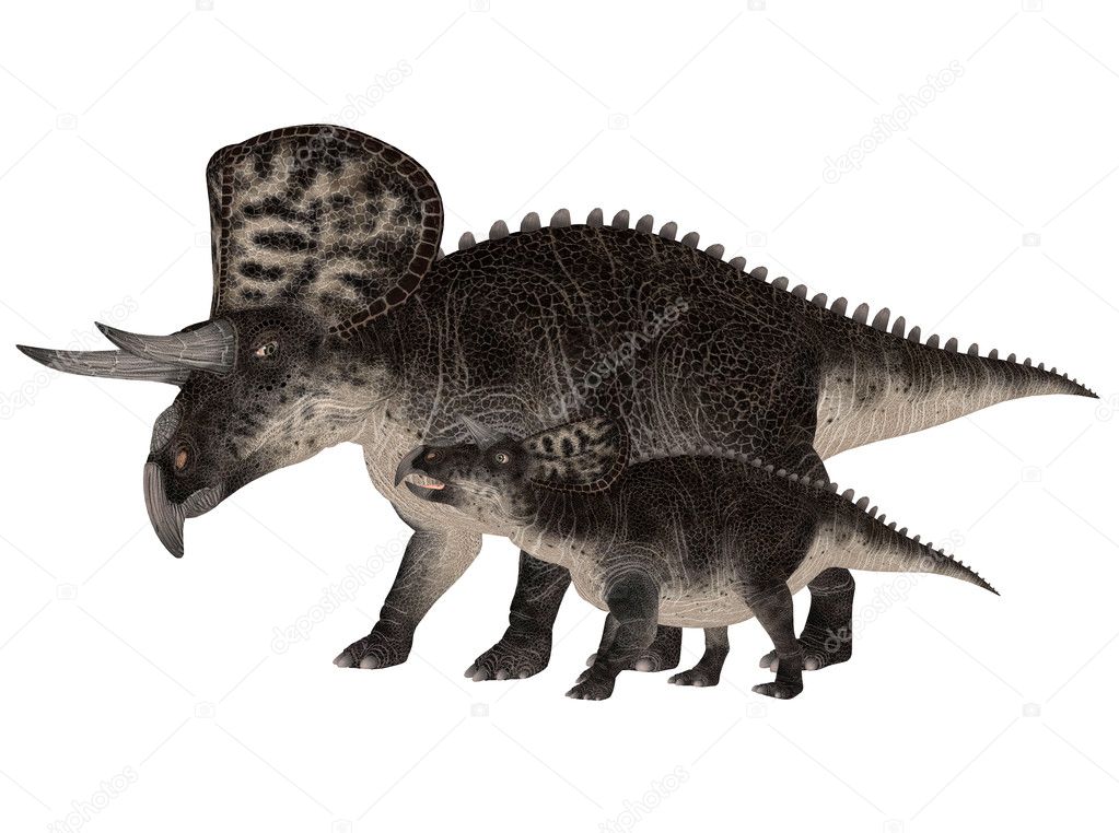 Adult and Young Zuniceratops