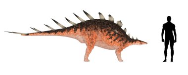 Kentrosaurus clipart