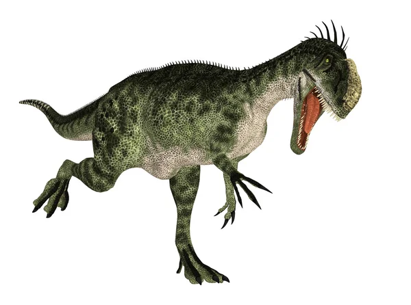 Monolophosaurus — 스톡 사진