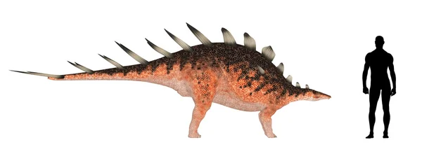 stock image Kentrosaurus