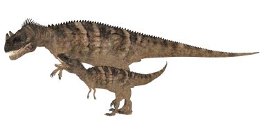 Yetişkin ve genç ceratosaurus