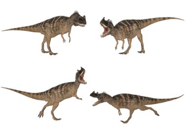 Ceratosaurus Pack clipart