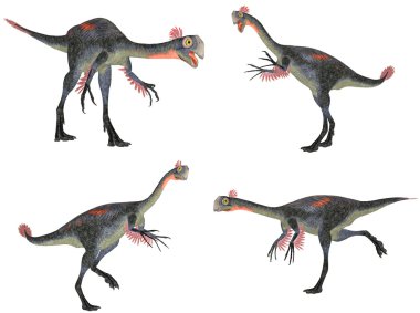 gigantoraptor paketi
