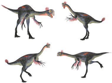 Gigantoraptor Pack clipart