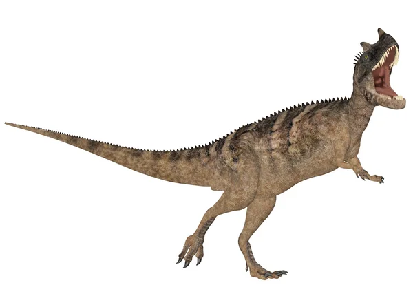 Ceratossauro — Fotografia de Stock