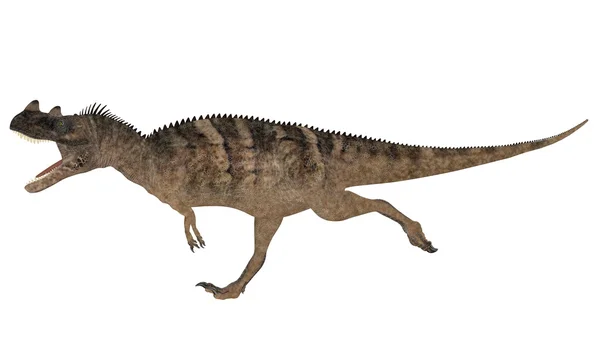 Ceratosaurus — 스톡 사진