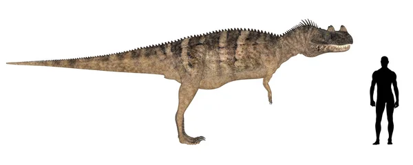Ceratosaurus Comparação de tamanho — Fotografia de Stock