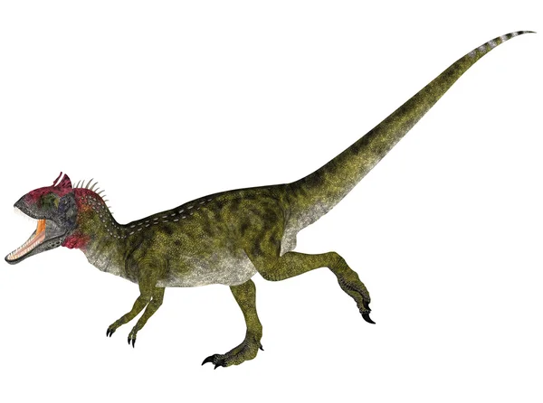 Cryolophosaurus — Foto de Stock