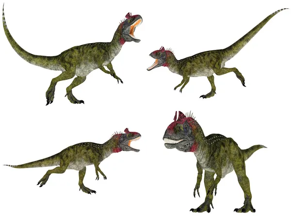 Cryolophosaurus Pack — Stock Photo, Image