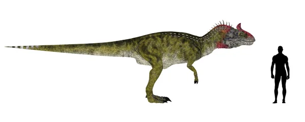 Cryolophosaurus 大小比较 — 图库照片